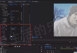 定格画面视频,视频画面背后的故事
